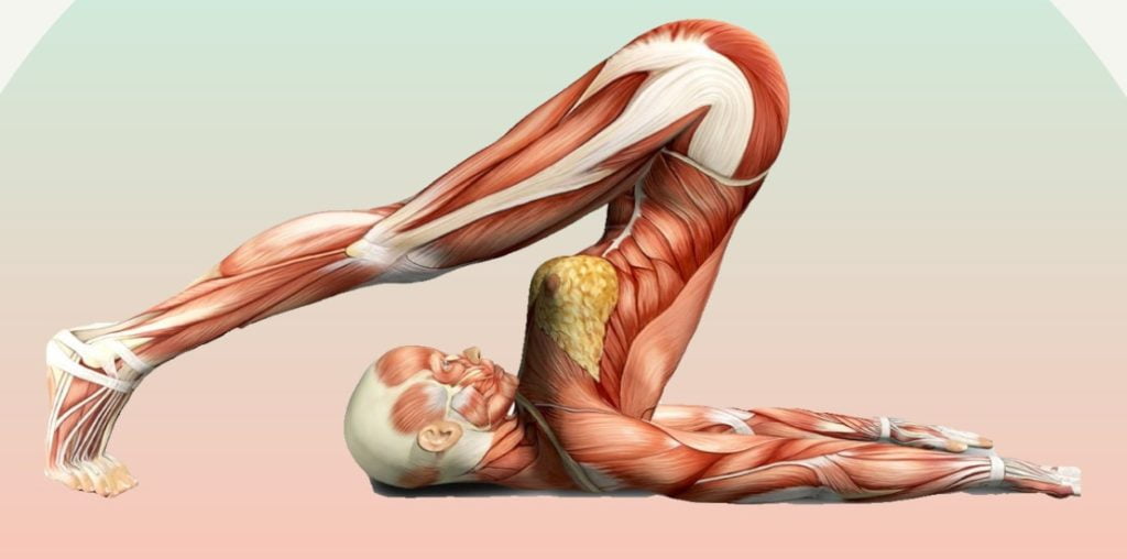 20200302 225735 0000 1 e1