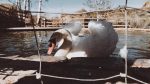 IMG 20200309 WA0002 1