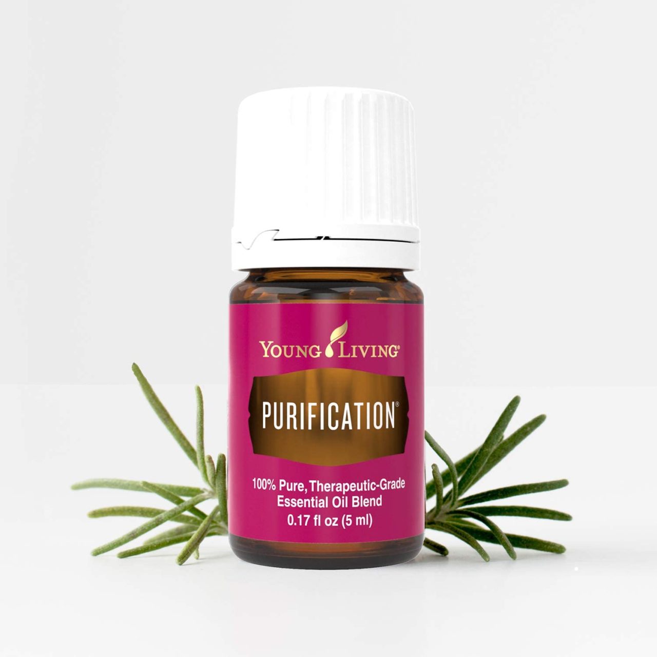 Purification