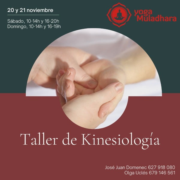 Taller de Kinesiología