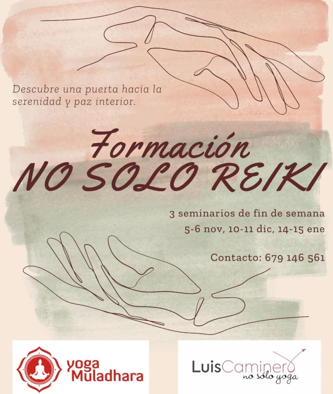 20221105 No solo reiki